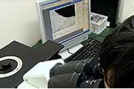 Microstructural Observation