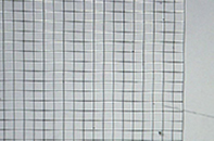 Non-Metallic Inclusion Evaluation